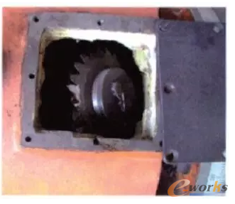 D11
