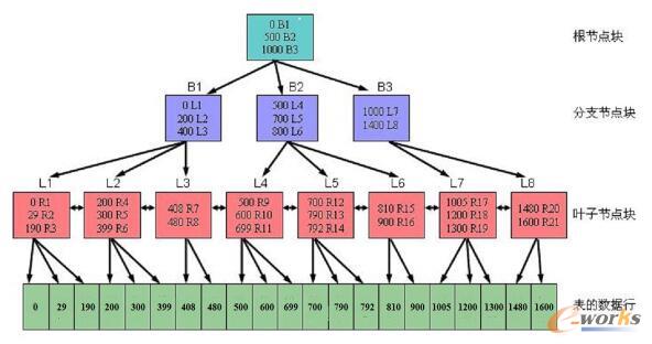 CBOSQL(yu)Oracle(yu)